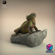 Animal Den Miniatures- Marine Iguana
