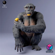 Cargar imagen en el visor de la galería, Chimpanzee- Animal Den Miniatures