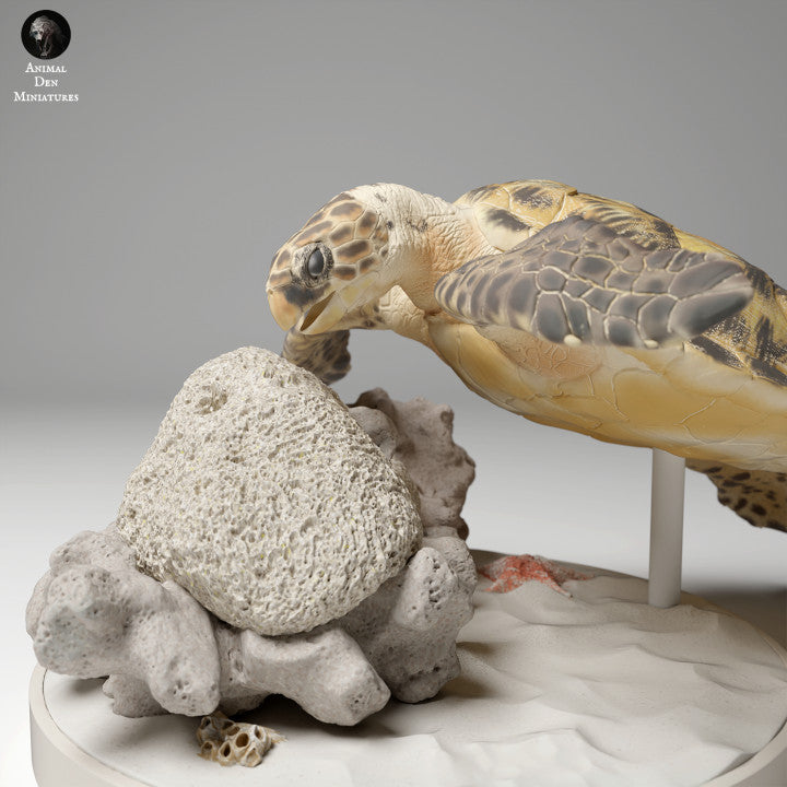 Animal Den Miniatures - Hawksbill Sea Turtle