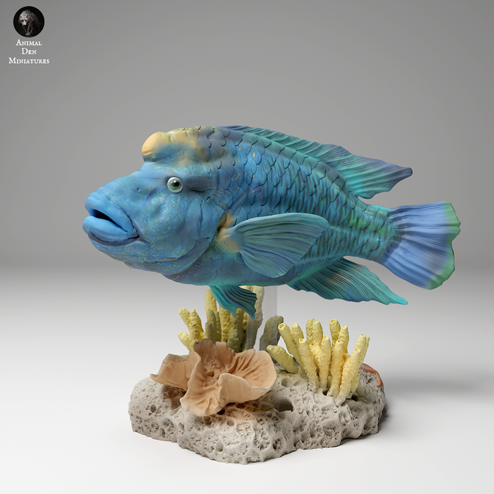 Animal Den Miniatures - Napoleon or Humphead Wrasse