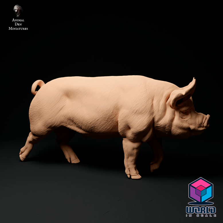 Berkshire-Boar-Walk-Animal Den Miniatures