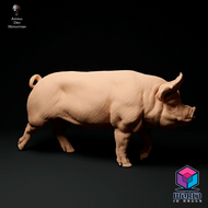 Berkshire-Boar-Walk-Animal Den Miniatures