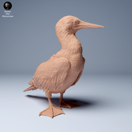 Animal Den Miniatures - Blue Footed Booby