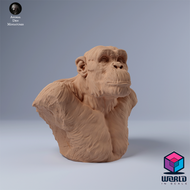 Chimpanzee Male bust- Animal Den Miniatures