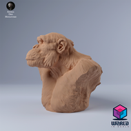 Chimpanzee Male bust- Animal Den Miniatures