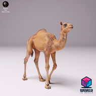 Animal Den Miniatures - Dromedary Camel Calf
