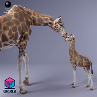 Giraffe female and calf -Animal Den Miniatures