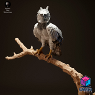 Animal Den Miniatures- Harpy Eagle