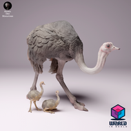 Animal Den Miniatures - North African Ostrich