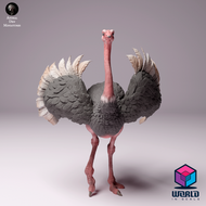 Animal Den Miniatures - North African Ostrich