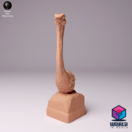 Animal Den Miniatures - North African Ostrich