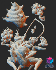 Shrimp- Teles from the north