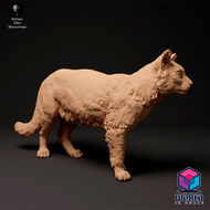 Scottish-Wildcat-Animal Den Miniatures
