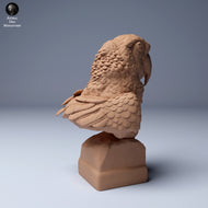 Animal Den Miniatures - Scarlet Macaws Ara Macao Bust