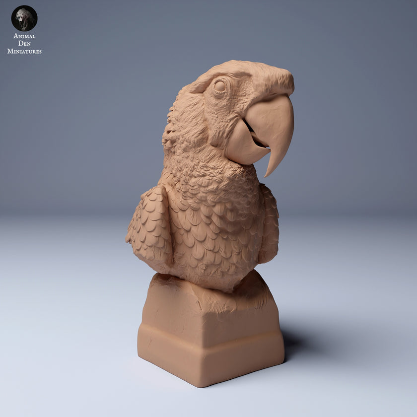 Animal Den Miniatures - Scarlet Macaws Ara Macao Bust