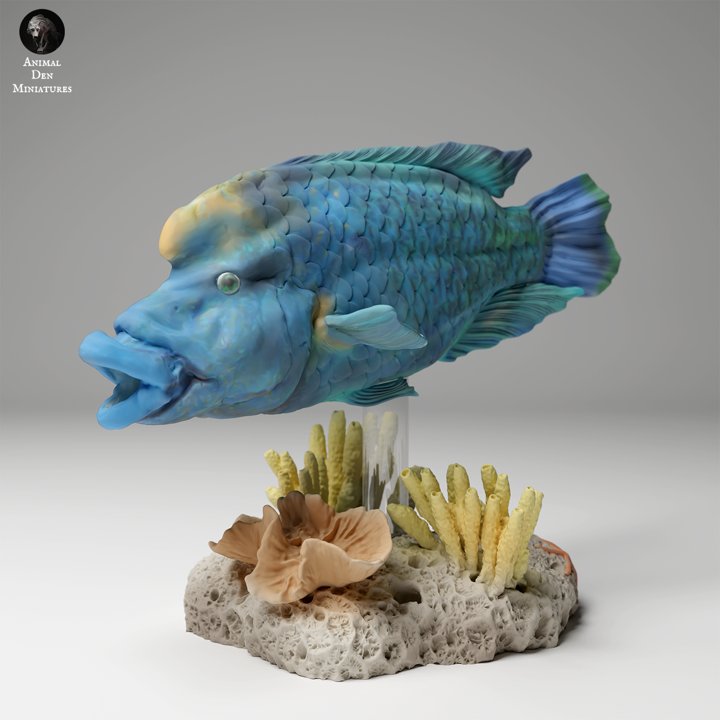 Animal Den Miniatures - Napoleon or Humphead Wrasse