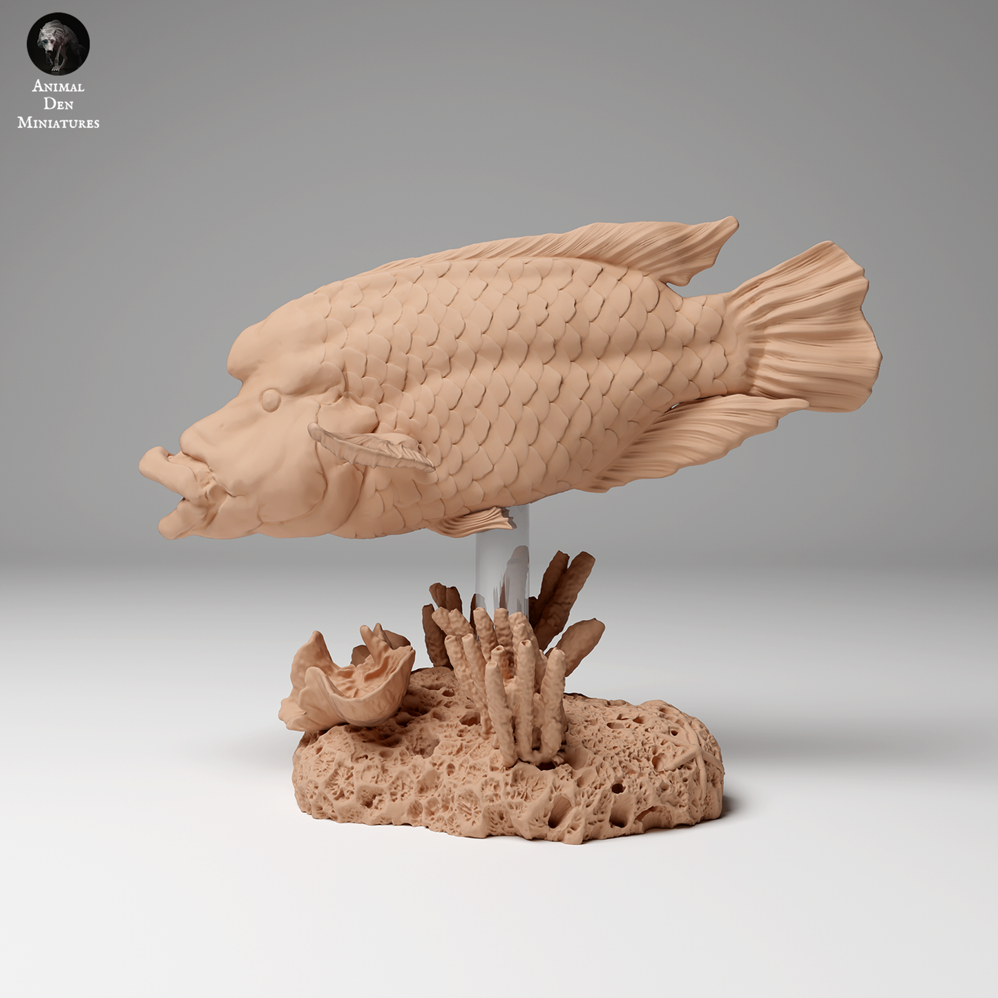 Animal Den Miniatures - Napoleon or Humphead Wrasse