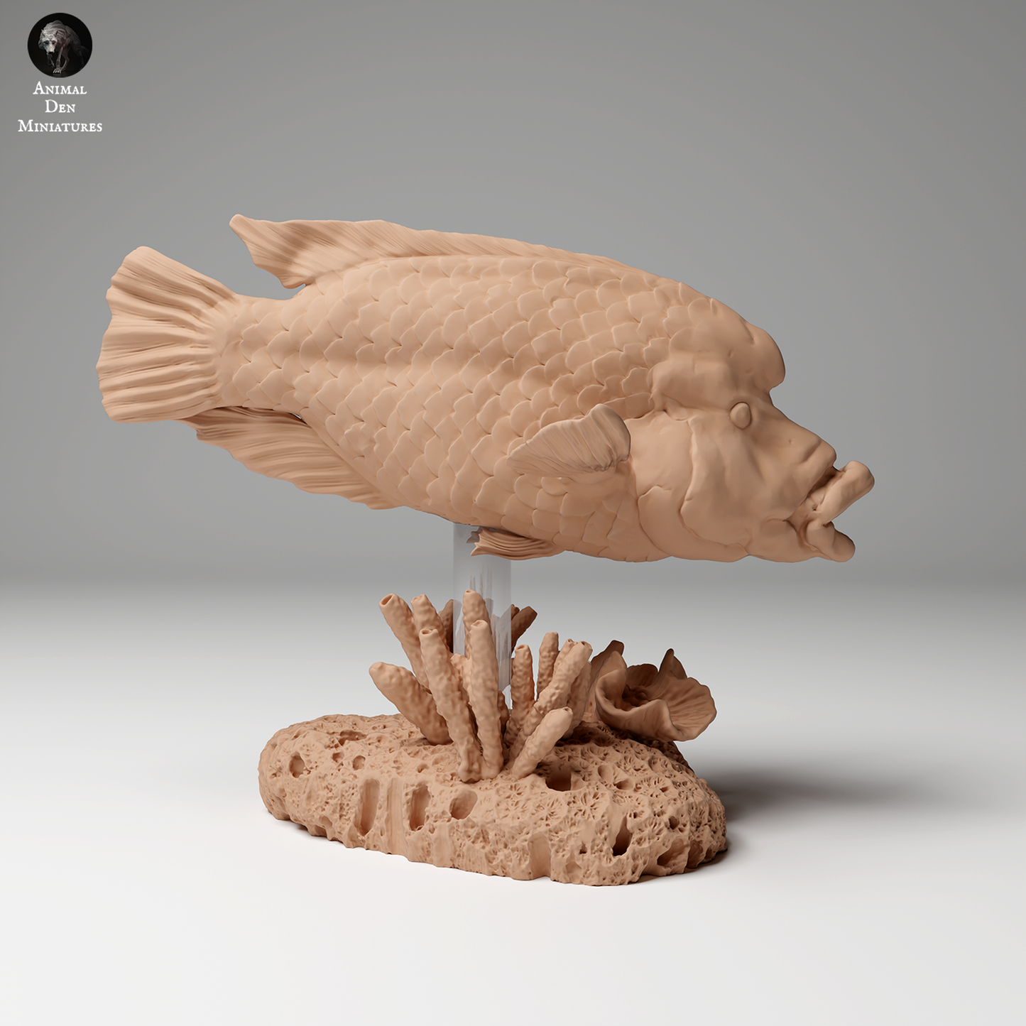 Animal Den Miniatures - Napoleon or Humphead Wrasse