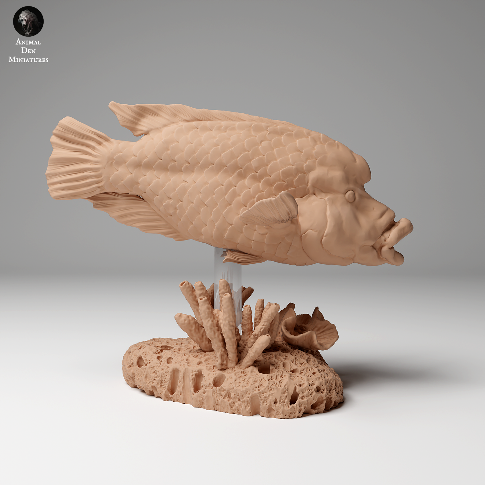 Animal Den Miniatures - Napoleon or Humphead Wrasse