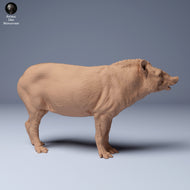 Animal Den Miniatures -Brazilian Tapir Tapirus Terrestris Male