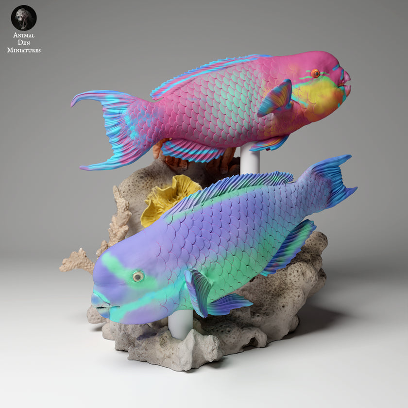 Animal Den Miniatures - Steephead Parrotfish